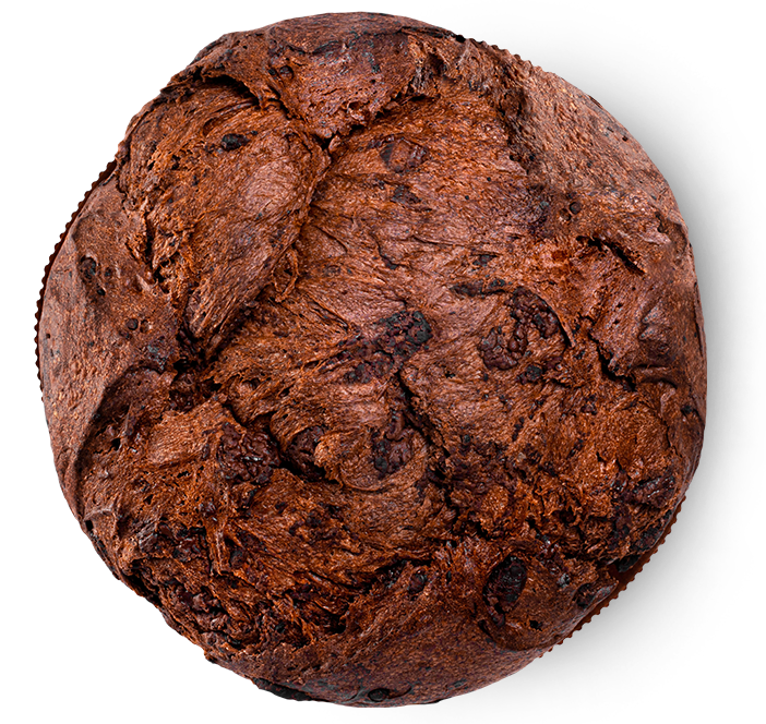 Dark Panettone