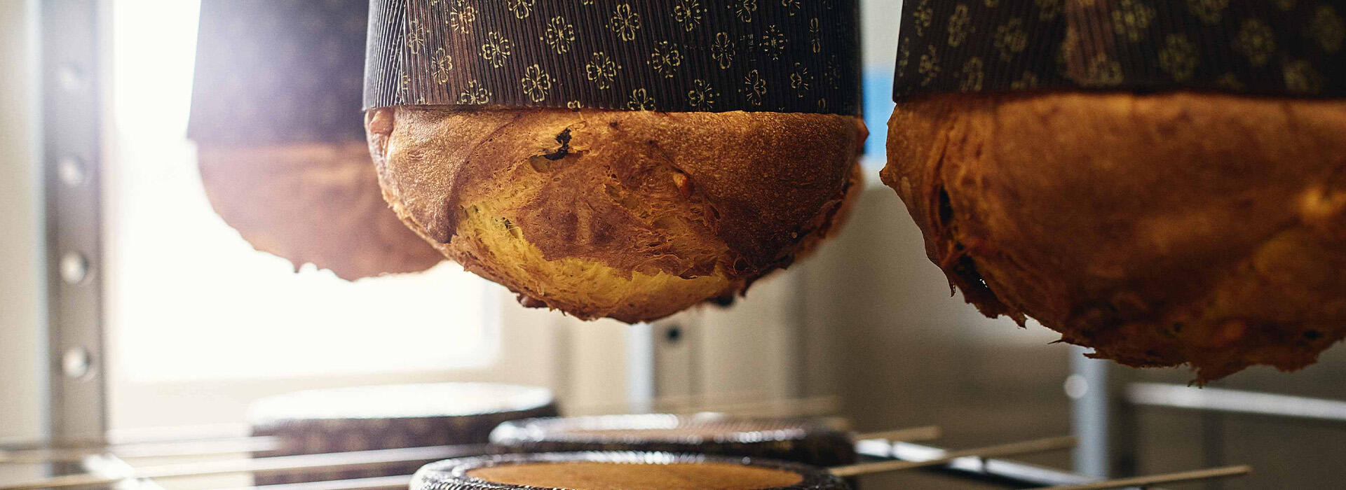 Q & A with Infermentum